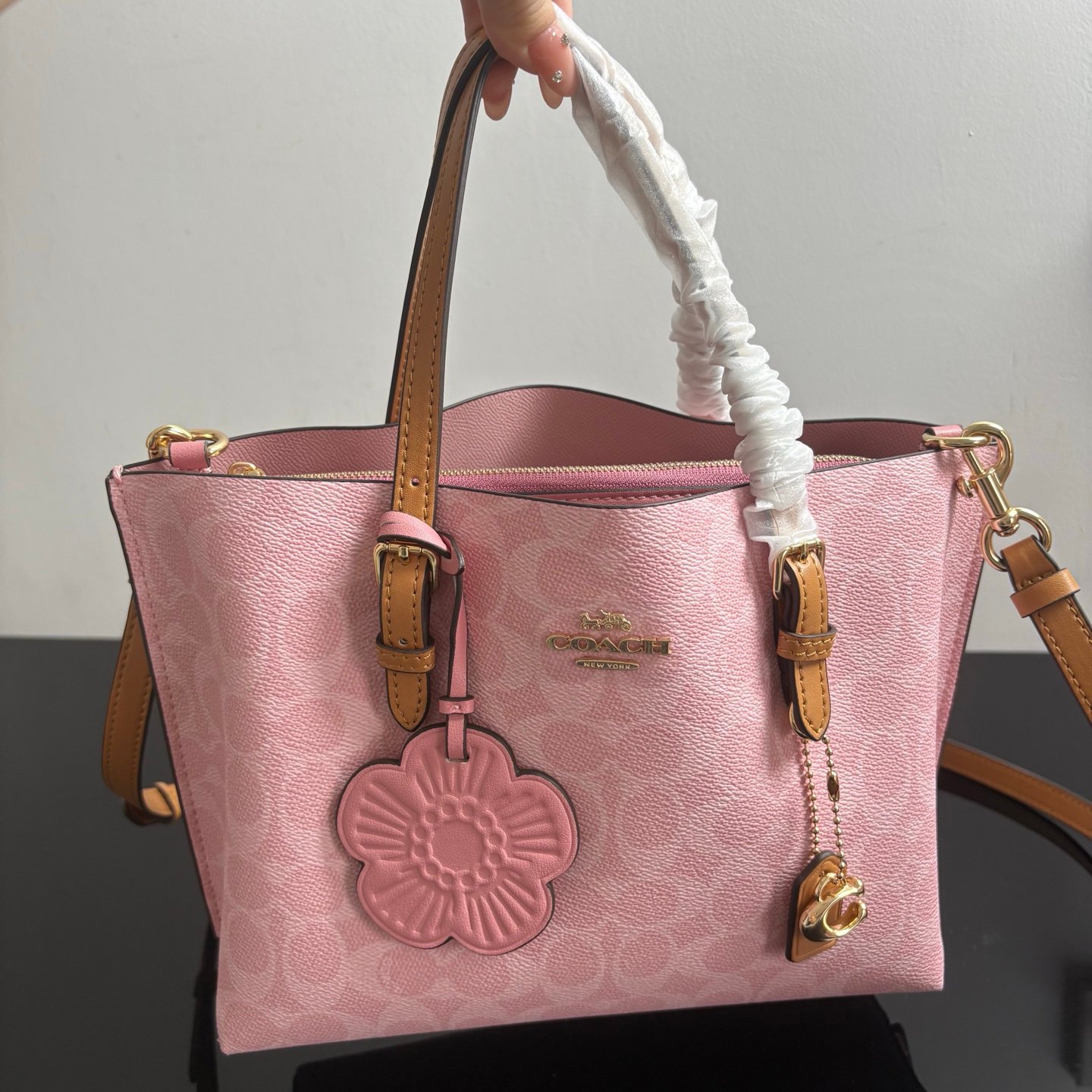 COACH Coach Ole Lady classic logo old flower MOLLIE 25 tote bag handbag crossbody bag - 图片 6
