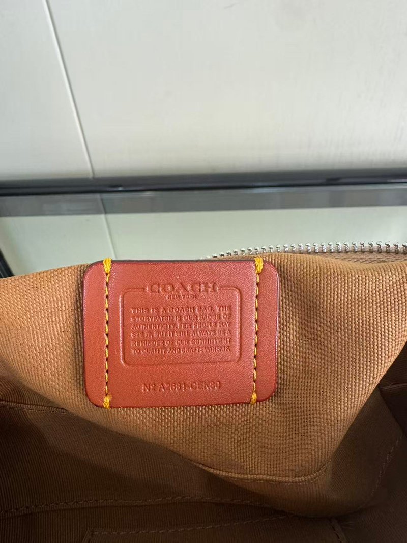 Teri Crescent Underarm Pack, Stray underarm pack - 图片 9